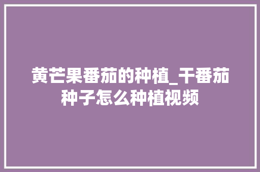 黄芒果番茄的种植_干番茄种子怎么种植视频 黄芒果番茄的种植_干番茄种子怎么种植视频 土壤施肥
