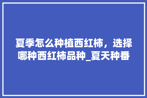 夏季怎么种植西红柿，选择哪种西红柿品种_夏天种番茄苗怎么种植视频 夏季怎么种植西红柿，选择哪种西红柿品种_夏天种番茄苗怎么种植视频 农业常识