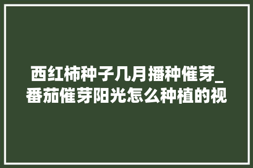 西红柿种子几月播种催芽_番茄催芽阳光怎么种植的视频 种植技巧 西红柿种子几月播种催芽_番茄催芽阳光怎么种植的视频 西红柿种子几月播种催芽_番茄催芽阳光怎么种植的视频 种植技巧