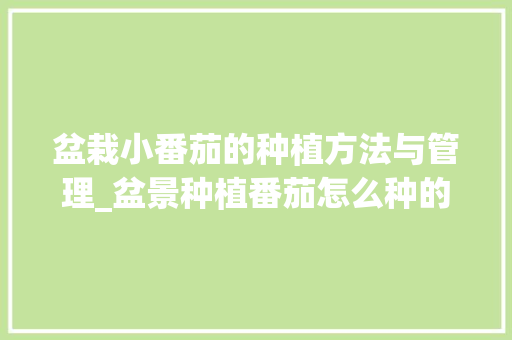 盆栽小番茄的种植方法与管理_盆景种植番茄怎么种的好 盆栽小番茄的种植方法与管理_盆景种植番茄怎么种的好 土壤施肥