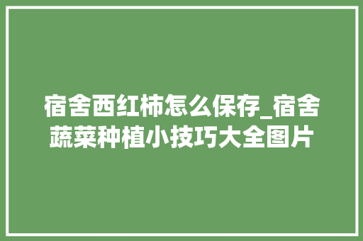 宿舍西红柿怎么保存_宿舍蔬菜种植小技巧大全图片