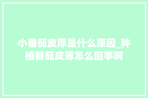 小番茄皮厚是什么原因_种植番茄皮薄怎么回事啊