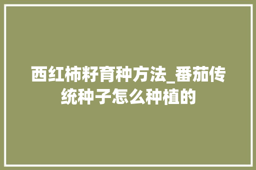 西红柿籽育种方法_番茄传统种子怎么种植的