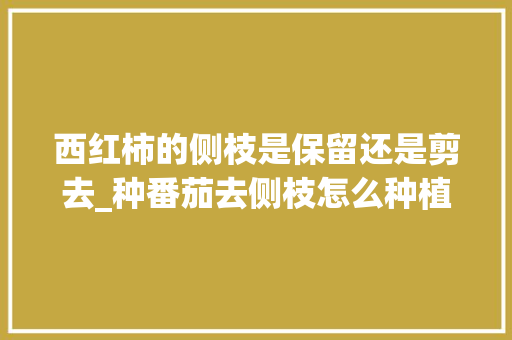 西红柿的侧枝是保留还是剪去_种番茄去侧枝怎么种植视频 西红柿的侧枝是保留还是剪去_种番茄去侧枝怎么种植视频 土壤施肥