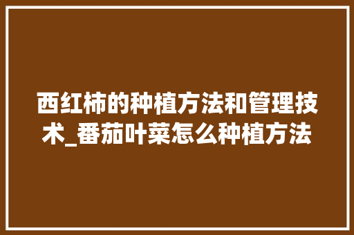 西红柿的种植方法和管理技术_番茄叶菜怎么种植方法 西红柿的种植方法和管理技术_番茄叶菜怎么种植方法 番茄种植技巧