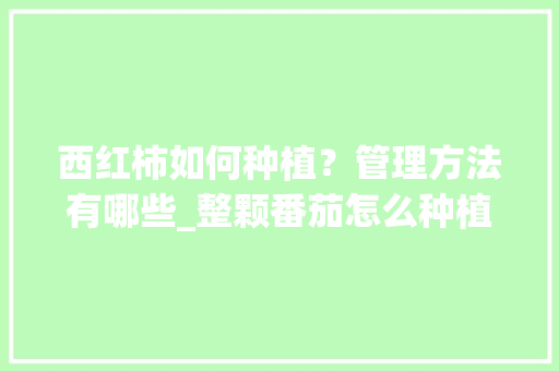 西红柿如何种植？管理方法有哪些_整颗番茄怎么种植的视频 西红柿如何种植？管理方法有哪些_整颗番茄怎么种植的视频 番茄种植技巧