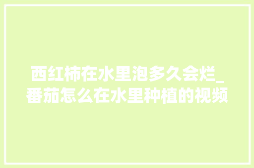 西红柿在水里泡多久会烂_番茄怎么在水里种植的视频 西红柿在水里泡多久会烂_番茄怎么在水里种植的视频 番茄病虫害防治