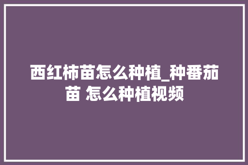 西红柿苗怎么种植_种番茄苗 怎么种植视频 西红柿苗怎么种植_种番茄苗 怎么种植视频 番茄种植技巧