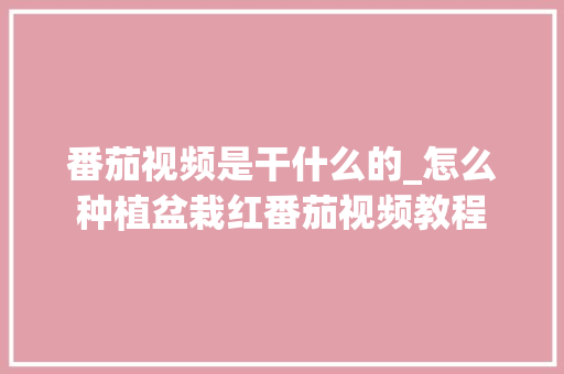 番茄视频是干什么的_怎么种植盆栽红番茄视频教程 番茄视频是干什么的_怎么种植盆栽红番茄视频教程 种植技巧