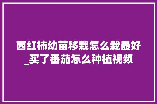 西红柿幼苗移栽怎么栽最好_买了番茄怎么种植视频 西红柿幼苗移栽怎么栽最好_买了番茄怎么种植视频 土壤施肥