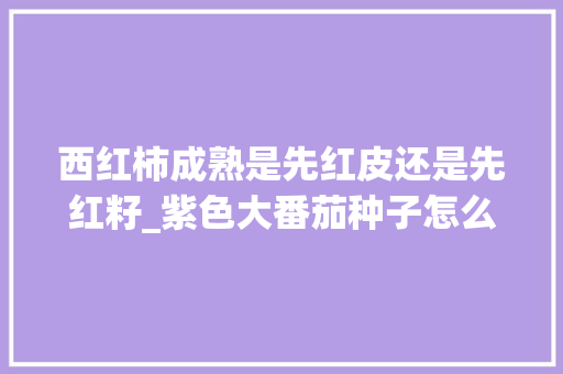 西红柿成熟是先红皮还是先红籽_紫色大番茄种子怎么种植的