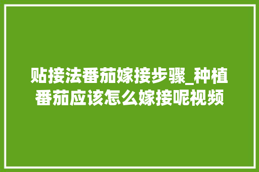 贴接法番茄嫁接步骤_种植番茄应该怎么嫁接呢视频