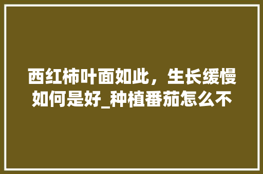 西红柿叶面如此，生长缓慢如何是好_种植番茄怎么不长根呢 西红柿叶面如此，生长缓慢如何是好_种植番茄怎么不长根呢 种植技巧