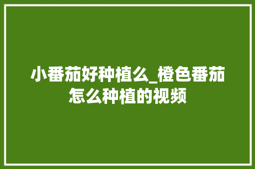 小番茄好种植么_橙色番茄怎么种植的视频 小番茄好种植么_橙色番茄怎么种植的视频 土壤施肥