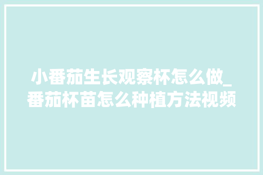 小番茄生长观察杯怎么做_番茄杯苗怎么种植方法视频
