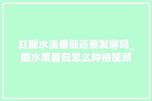 红糖水浇番茄还要发酵吗_糖水黑番茄怎么种植视频 红糖水浇番茄还要发酵吗_糖水黑番茄怎么种植视频 植物种类