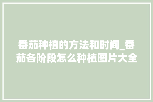 番茄种植的方法和时间_番茄各阶段怎么种植图片大全 番茄种植的方法和时间_番茄各阶段怎么种植图片大全 农业常识