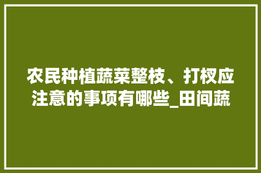 农民种植蔬菜整枝、打杈应注意的事项有哪些_田间蔬菜种植技巧视频教程 农民种植蔬菜整枝、打杈应注意的事项有哪些_田间蔬菜种植技巧视频教程 番茄种植技巧