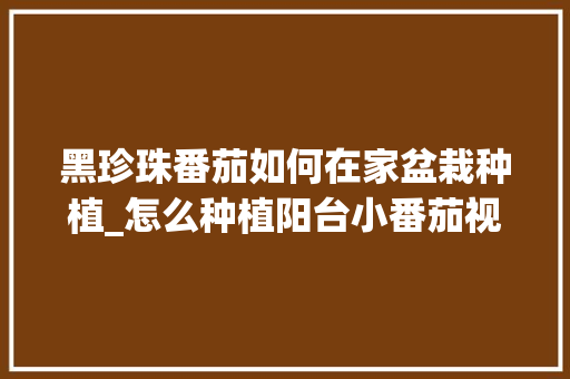 黑珍珠番茄如何在家盆栽种植_怎么种植阳台小番茄视频 黑珍珠番茄如何在家盆栽种植_怎么种植阳台小番茄视频 农业常识