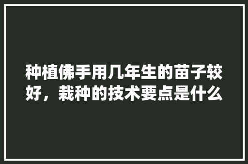 种植佛手用几年生的苗子较好，栽种的技术要点是什么_佛手蔬菜种植方法和技巧视频