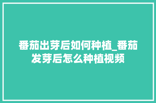 番茄出芽后如何种植_番茄发芽后怎么种植视频