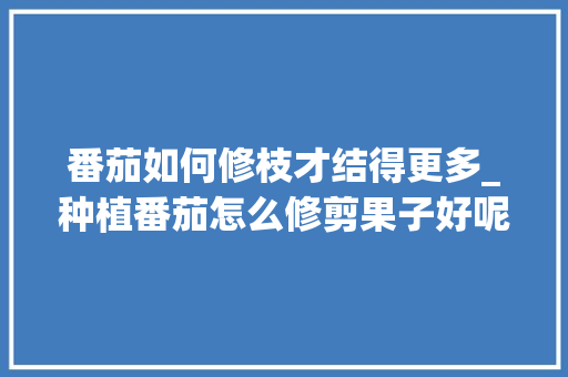 番茄如何修枝才结得更多_种植番茄怎么修剪果子好呢 种植技巧 番茄如何修枝才结得更多_种植番茄怎么修剪果子好呢 番茄如何修枝才结得更多_种植番茄怎么修剪果子好呢 种植技巧