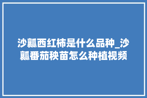 沙瓤西红柿是什么品种_沙瓤番茄秧苗怎么种植视频
