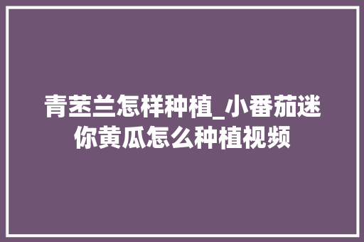青苤兰怎样种植_小番茄迷你黄瓜怎么种植视频 青苤兰怎样种植_小番茄迷你黄瓜怎么种植视频 花朵知识