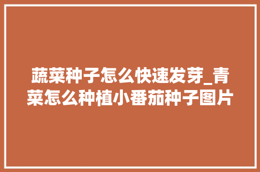 蔬菜种子怎么快速发芽_青菜怎么种植小番茄种子图片 蔬菜种子怎么快速发芽_青菜怎么种植小番茄种子图片 番茄病虫害防治