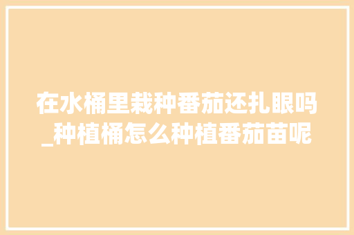 在水桶里栽种番茄还扎眼吗_种植桶怎么种植番茄苗呢 在水桶里栽种番茄还扎眼吗_种植桶怎么种植番茄苗呢 番茄病虫害防治