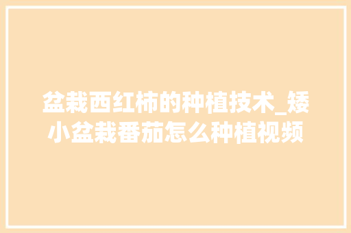 盆栽西红柿的种植技术_矮小盆栽番茄怎么种植视频 盆栽西红柿的种植技术_矮小盆栽番茄怎么种植视频 植物种类