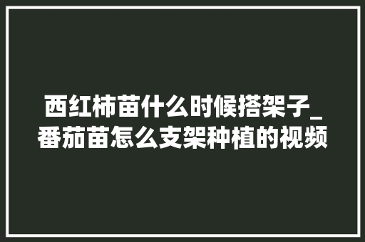 西红柿苗什么时候搭架子_番茄苗怎么支架种植的视频