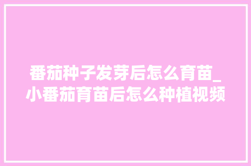 番茄种子发芽后怎么育苗_小番茄育苗后怎么种植视频