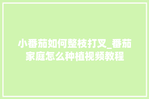 小番茄如何整枝打叉_番茄家庭怎么种植视频教程 小番茄如何整枝打叉_番茄家庭怎么种植视频教程 种植技巧