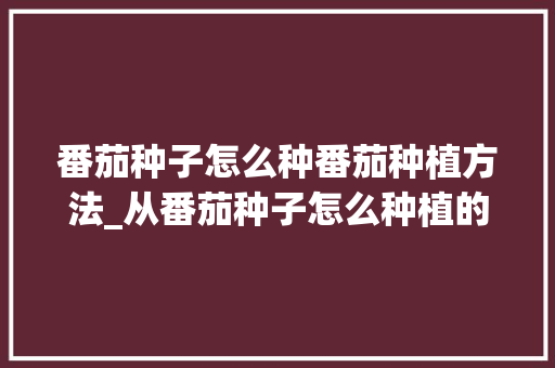 番茄种子怎么种番茄种植方法_从番茄种子怎么种植的 番茄种子怎么种番茄种植方法_从番茄种子怎么种植的 农业常识