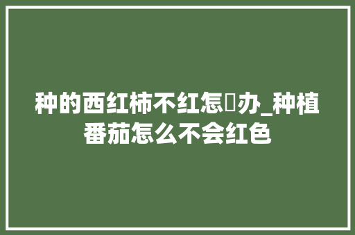 种的西红柿不红怎麼办_种植番茄怎么不会红色