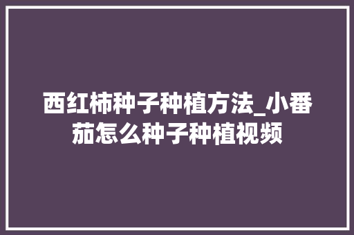 西红柿种子种植方法_小番茄怎么种子种植视频 西红柿种子种植方法_小番茄怎么种子种植视频 种植技巧