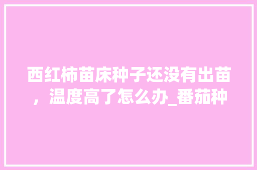西红柿苗床种子还没有出苗，温度高了怎么办_番茄种子小芽怎么种植视频 西红柿苗床种子还没有出苗，温度高了怎么办_番茄种子小芽怎么种植视频 花朵知识
