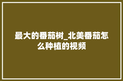 最大的番茄树_北美番茄怎么种植的视频 最大的番茄树_北美番茄怎么种植的视频 番茄病虫害防治