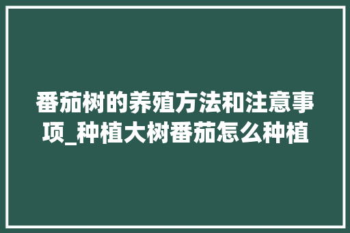 番茄树的养殖方法和注意事项_种植大树番茄怎么种植好呢 番茄树的养殖方法和注意事项_种植大树番茄怎么种植好呢 番茄种植技巧