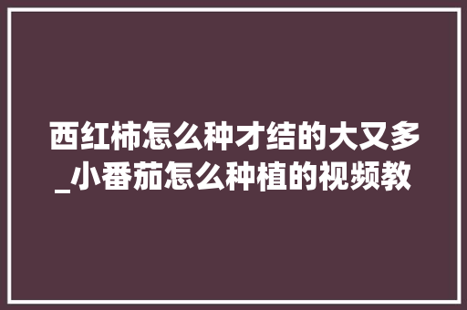 西红柿怎么种才结的大又多_小番茄怎么种植的视频教程 西红柿怎么种才结的大又多_小番茄怎么种植的视频教程 土壤施肥