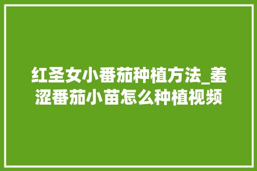红圣女小番茄种植方法_羞涩番茄小苗怎么种植视频 红圣女小番茄种植方法_羞涩番茄小苗怎么种植视频 农业常识