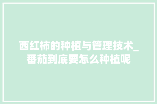 西红柿的种植与管理技术_番茄到底要怎么种植呢