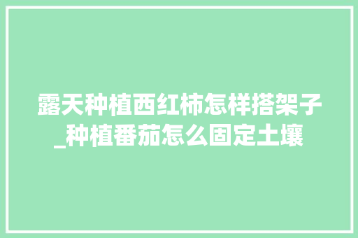 露天种植西红柿怎样搭架子_种植番茄怎么固定土壤