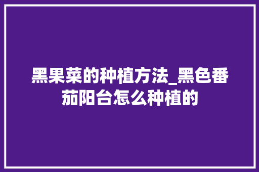 黑果菜的种植方法_黑色番茄阳台怎么种植的 黑果菜的种植方法_黑色番茄阳台怎么种植的 植物种类