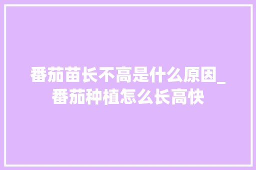 番茄苗长不高是什么原因_番茄种植怎么长高快 番茄苗长不高是什么原因_番茄种植怎么长高快 花朵知识