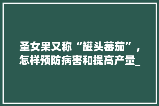 圣女果又称“罐头蕃茄”，怎样预防病害和提高产量_罐头番茄种子怎么种植的视频 圣女果又称“罐头蕃茄”，怎样预防病害和提高产量_罐头番茄种子怎么种植的视频 花朵知识