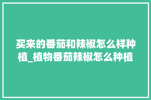买来的番茄和辣椒怎么样种植_植物番茄辣椒怎么种植视频