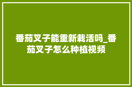 番茄叉子能重新栽活吗_番茄叉子怎么种植视频 土壤施肥 番茄叉子能重新栽活吗_番茄叉子怎么种植视频 番茄叉子能重新栽活吗_番茄叉子怎么种植视频 土壤施肥