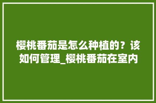 樱桃番茄是怎么种植的？该如何管理_樱桃番茄在室内怎么种植视频 樱桃番茄是怎么种植的？该如何管理_樱桃番茄在室内怎么种植视频 土壤施肥